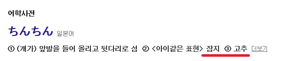 문재인 대통령이 키우는 고양이 이름이 찡찡이라고 하면 일본사람이 놀라는 이유 | 인스티즈