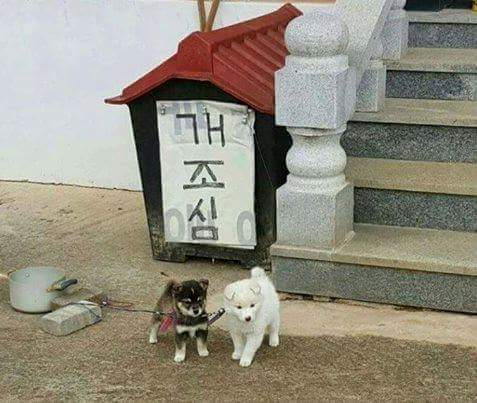 고향 내려가면 조심해야 할 것 | 인스티즈