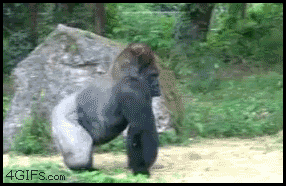 윈스턴님 라인하르트가 좋을듯.gif | 인스티즈