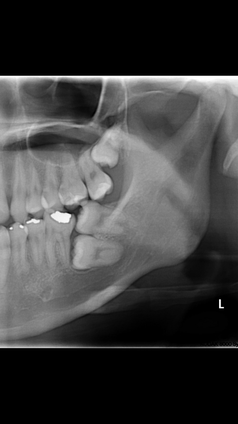 사진한장으로 두려움을 느끼게 해드려요 | 인스티즈
