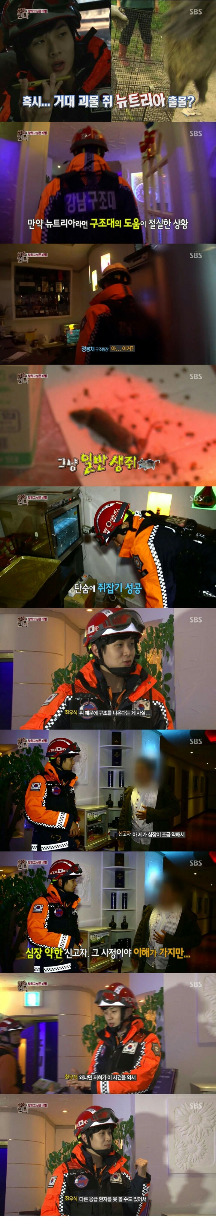 쥐 잡으러 간 119구조대 | 인스티즈
