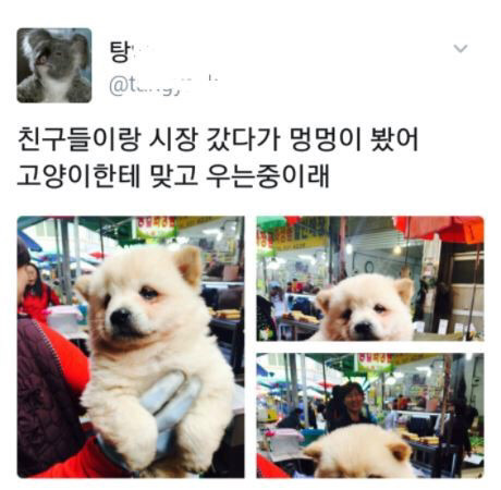우는 애기들.jpg (심쿵주의) | 인스티즈