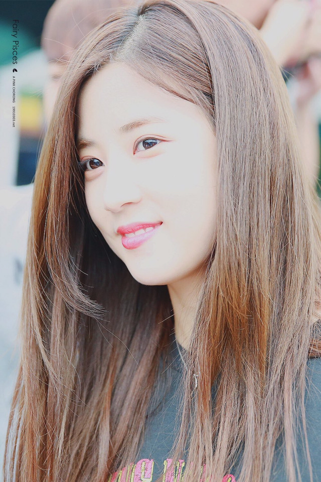 [에이핑크] 치즈케이크가 맛있어서 박초롱 | 인스티즈
