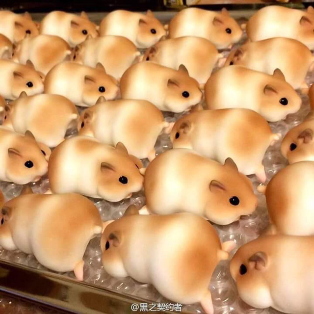 이** 이미지