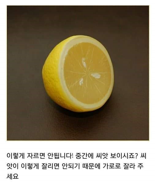 집에서 레몬 키우기 | 인스티즈