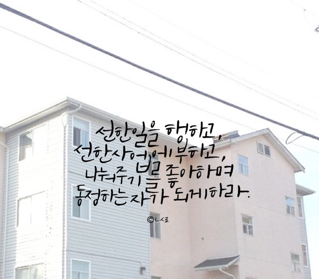 캘리 이미지