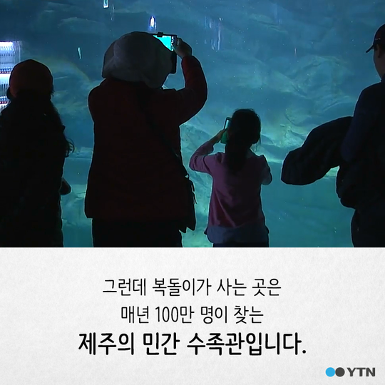 멸종 위기종을 수족관에 전시하는 이상한 나라 | 인스티즈