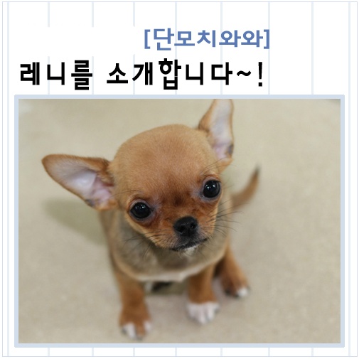 미소 이미지