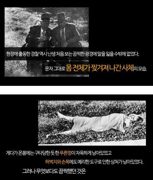 1947년 미국에서 일어난 미스테리, 블랙 달리아 (the Black Dahlia) 사건 (사진 주의) | 인스티즈