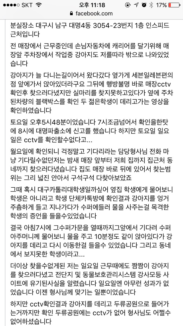 대구에서 남자 2명이 실수로 주인있는 말티즈를 데려갔대! 주인이 애타게 제보바라고있어! | 인스티즈