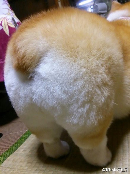 토실토실 이미지