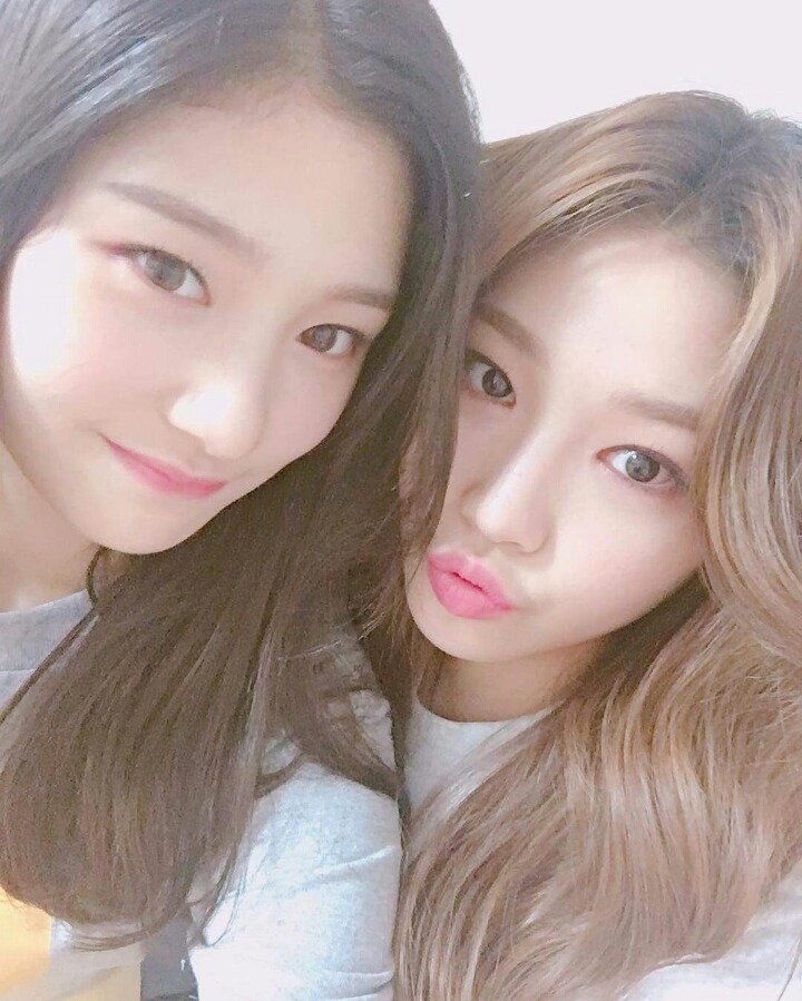 진짜이쁜 정채연 | 인스티즈