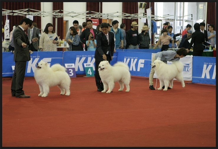 바하 이미지