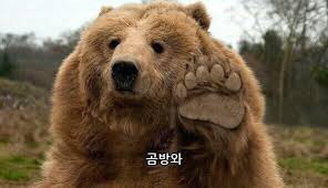 진짜 일본인이 쓰는 일본 식생활문화 | 인스티즈
