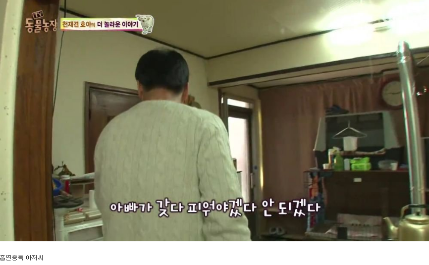 동물농장 완전 똑똑한 멍멍이 | 인스티즈