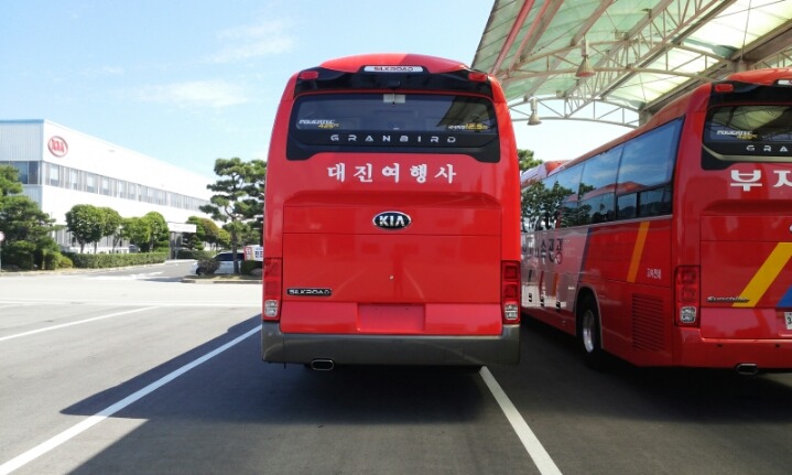 대진여행사 이미지