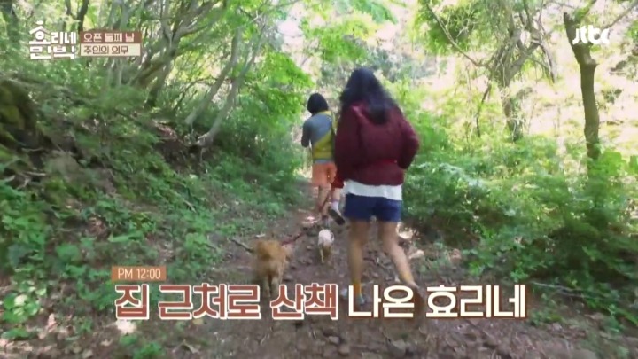 효리네 민박에서의 아침 | 인스티즈