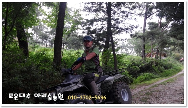 보은대추아리숲농원 이미지