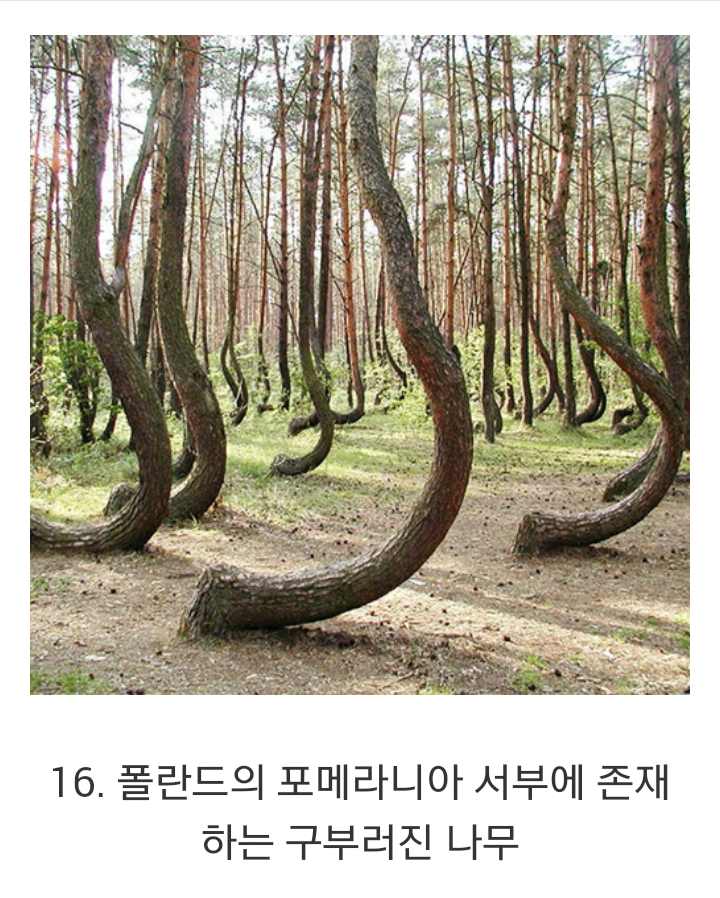 합성 같은 실제 사진 | 인스티즈