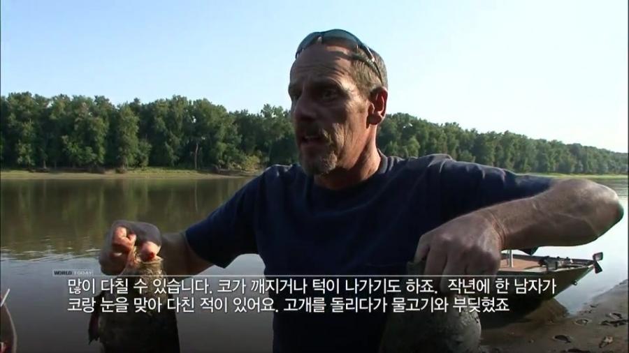 미국 전역을 장악한 아시아잉어의 역습.jpg | 인스티즈