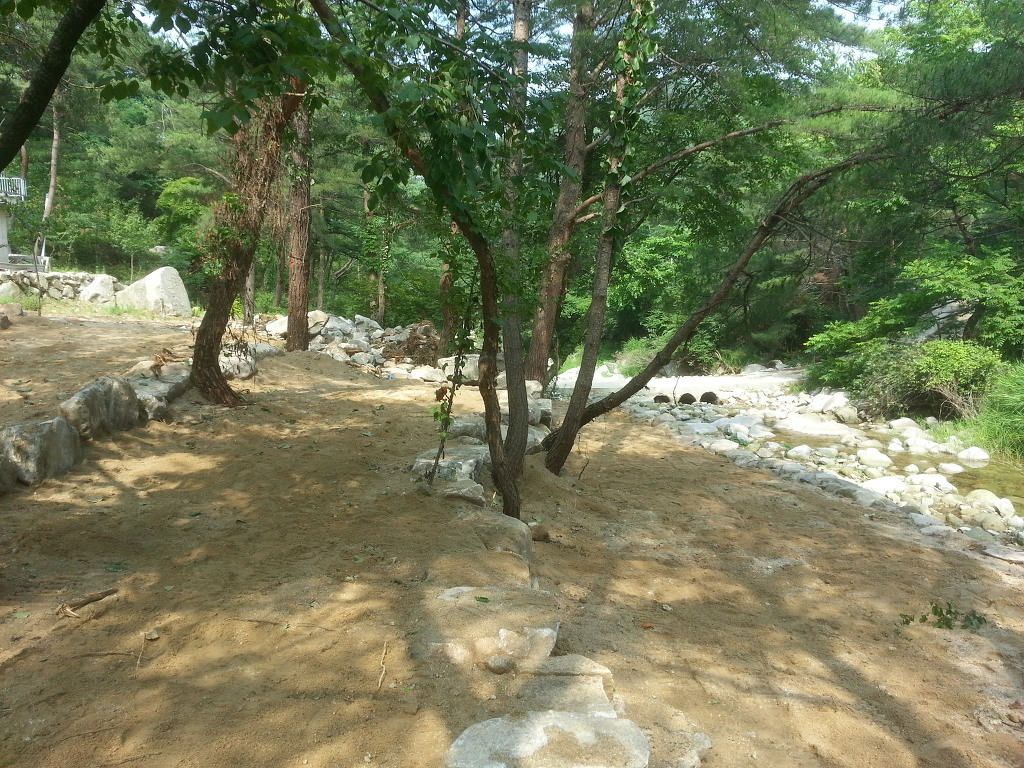 솔바람 야영장 이미지