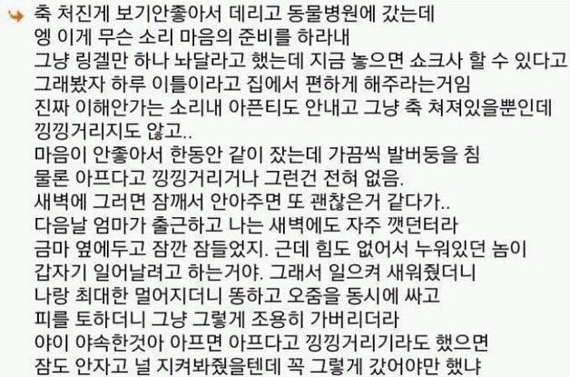 다시는 강아지 안키운다 | 인스티즈