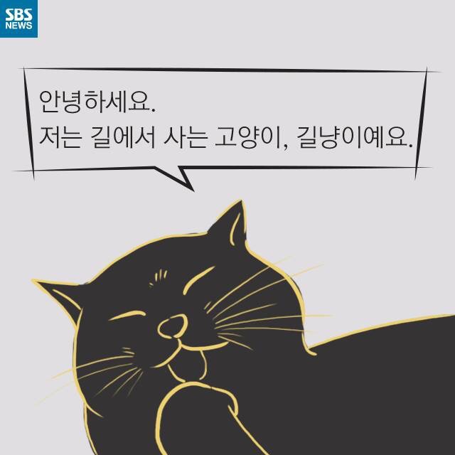 길고양이가 뚱뚱한 이유 | 인스티즈