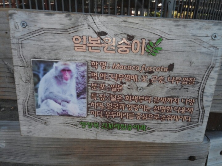 폰24울진 이미지