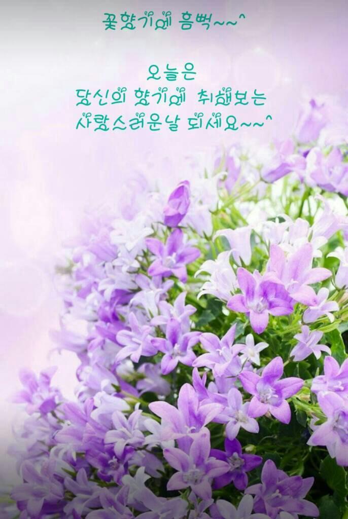 느리게살자 이미지