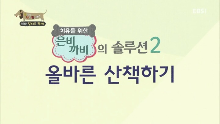 공격적인 반려견이 되는 이유 2부.jp | 인스티즈