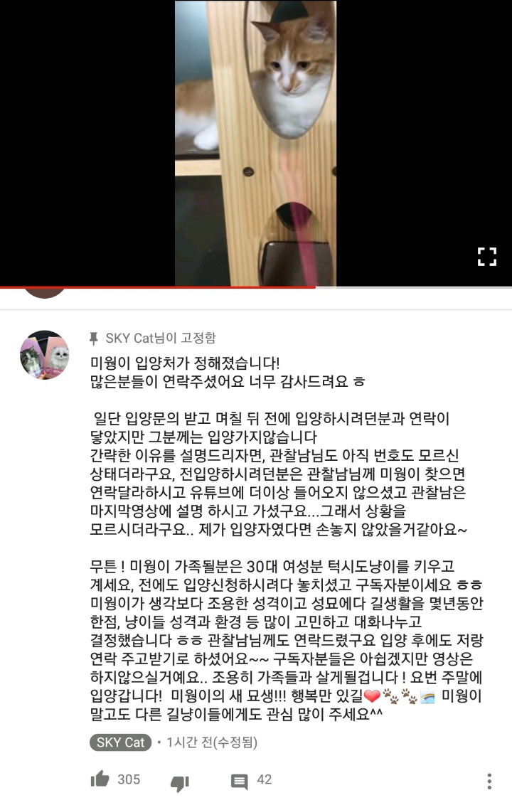 미웡이 입양가요! | 인스티즈