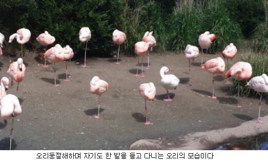 여기는 이게 규칙인가?? | 인스티즈