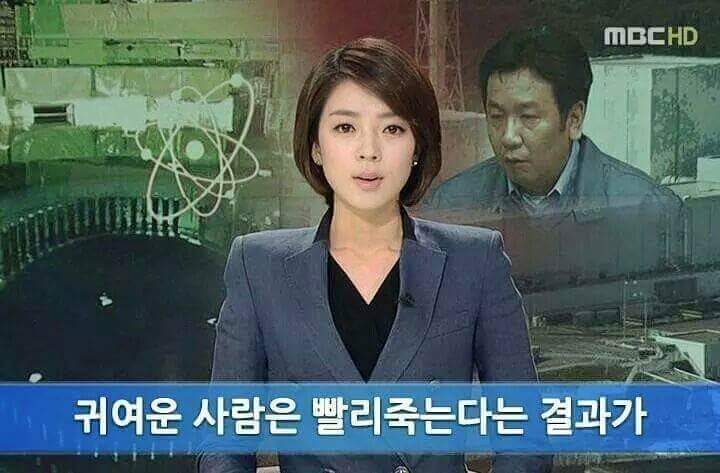 단아 이미지