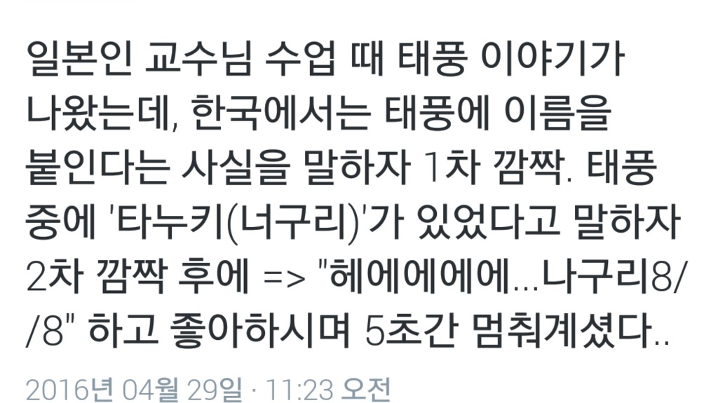 너구리의 위험성 | 인스티즈