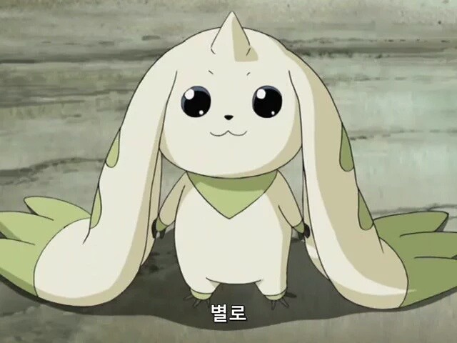 따사로운 이미지