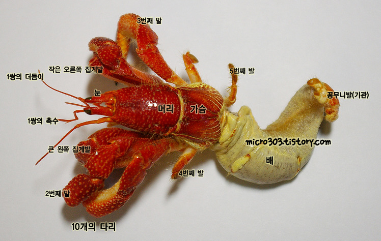 소라게 | 인스티즈