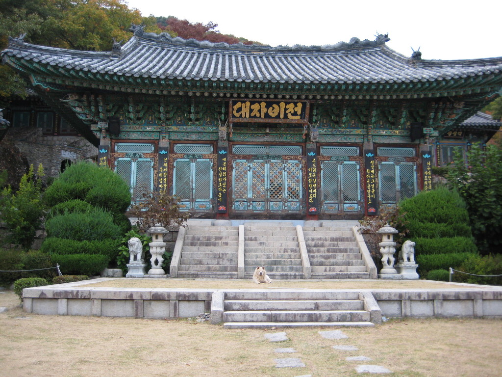 정많은 친구들 이미지