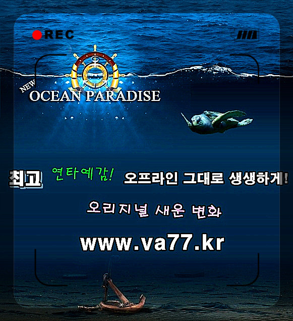 상어식당 이미지