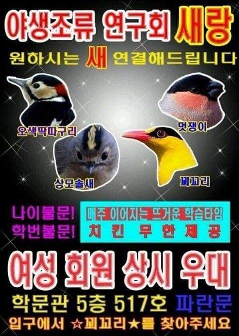 이대 야생조류 연구회 홍보지.jpg | 인스티즈
