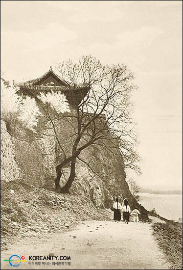 일면 이미지