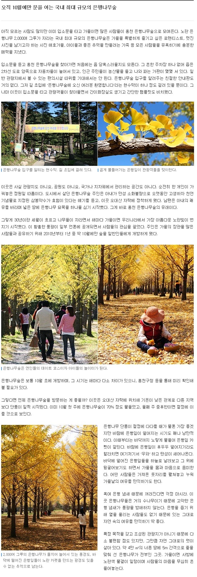 치롬 이미지
