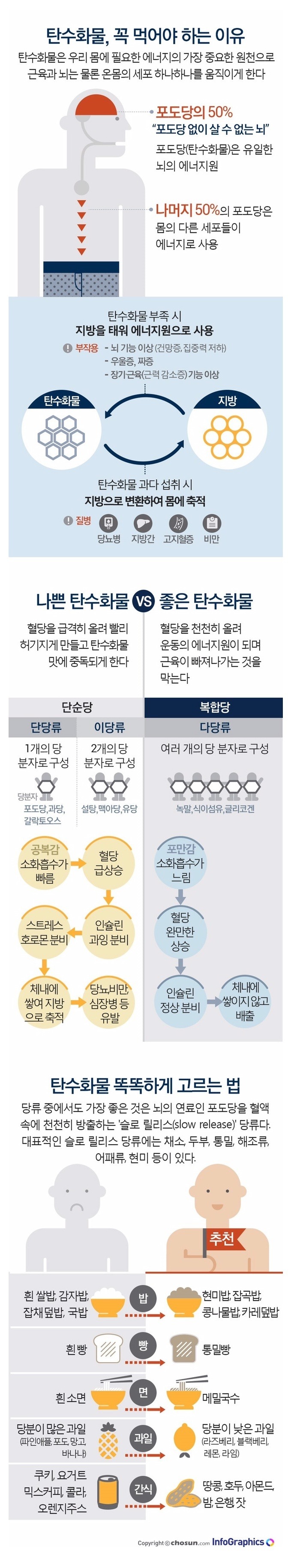 탄수화물 꼭 먹어야 하는 이유 | 인스티즈