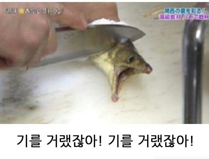 믿고보는 제목학원 | 인스티즈