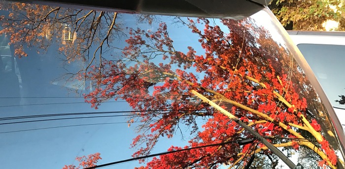 뉴욕카피 이미지