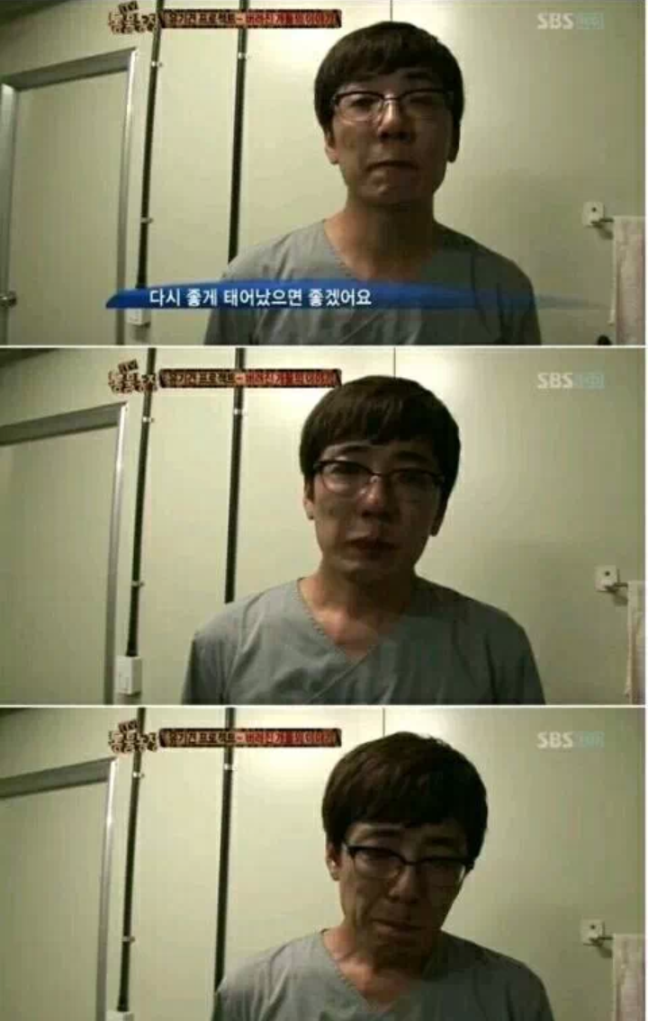 유기견들을 안락사 시키는 수의사들의 심정 | 인스티즈
