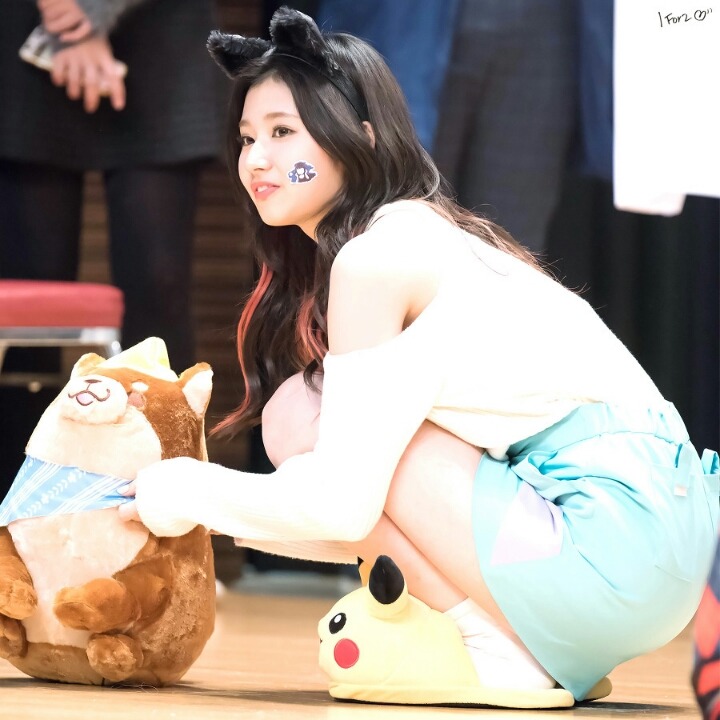 다모 이미지