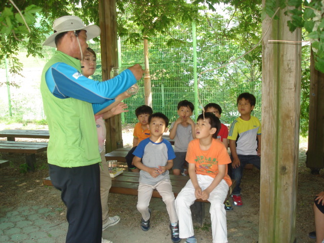 구산초등학교 이미지
