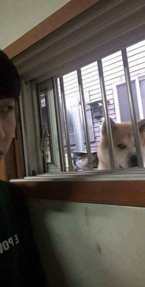 런던과 한국 반지하 차이 | 인스티즈