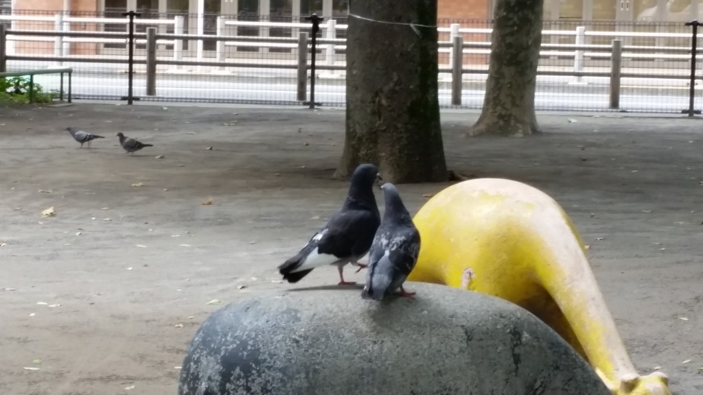 어느날,산책 이미지
