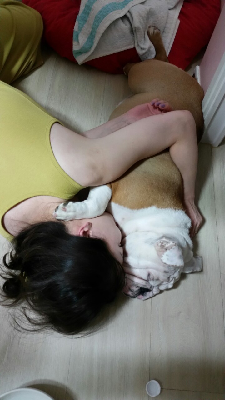 보미사 이미지